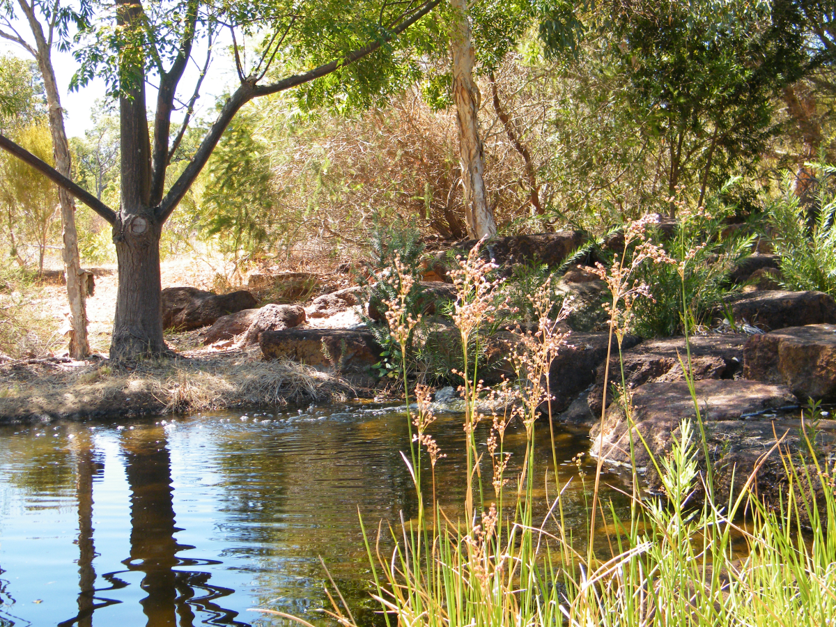 Insert your caption here