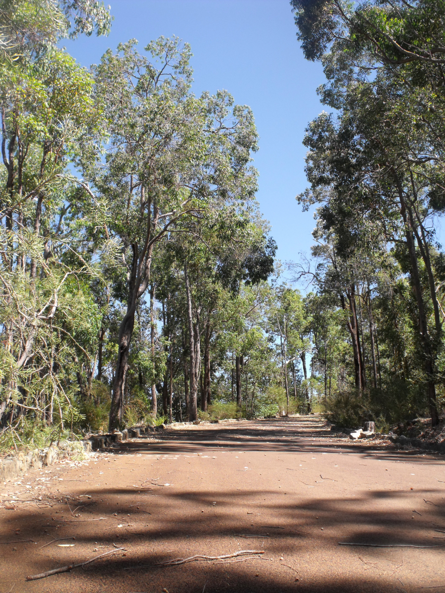 Insert your caption here