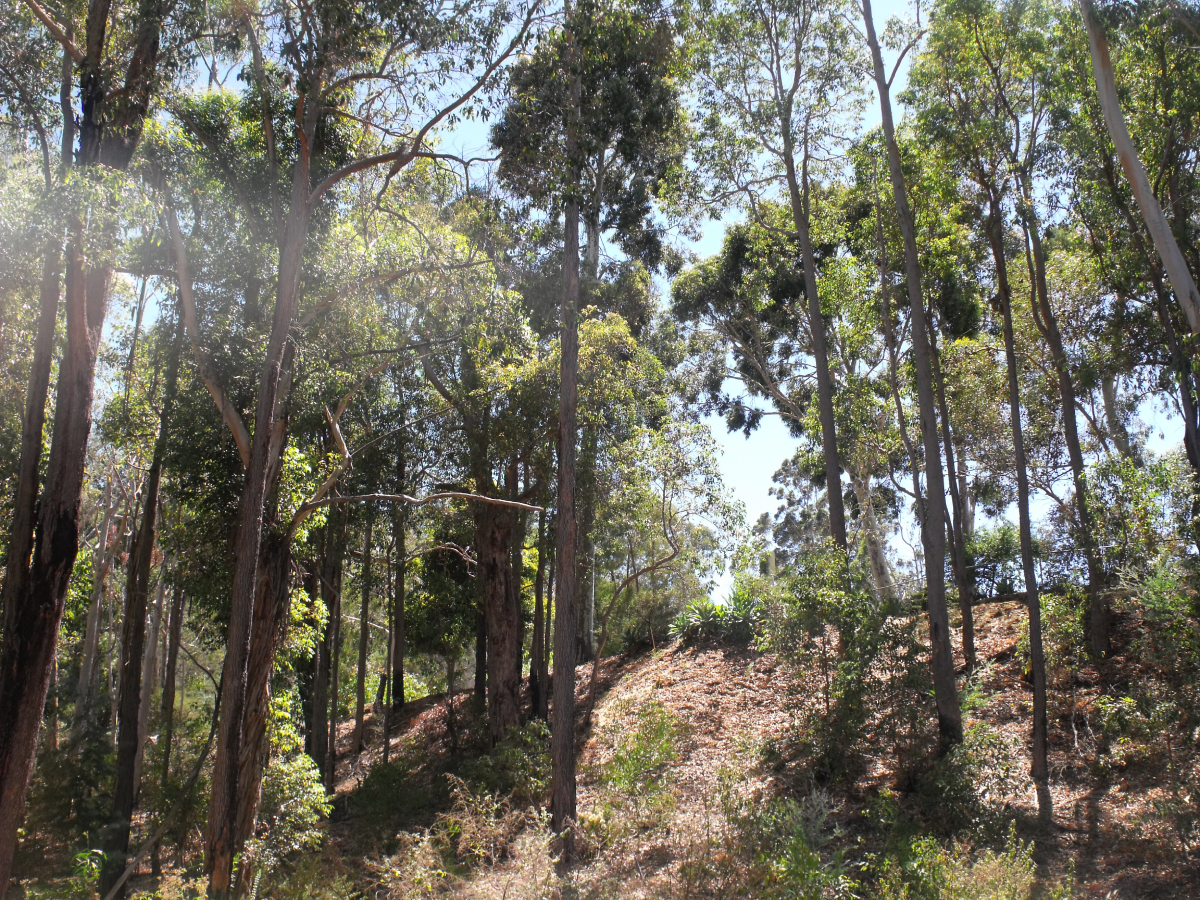 Insert your caption here