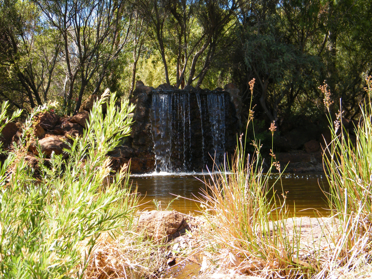 Insert your caption here