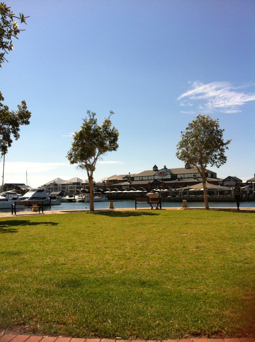 Insert your caption here